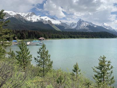 Hike the Moose Lake Loop