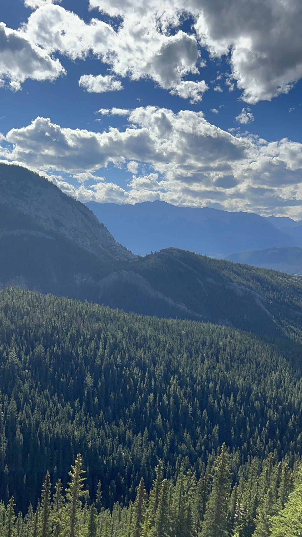 Hike Roche Miette