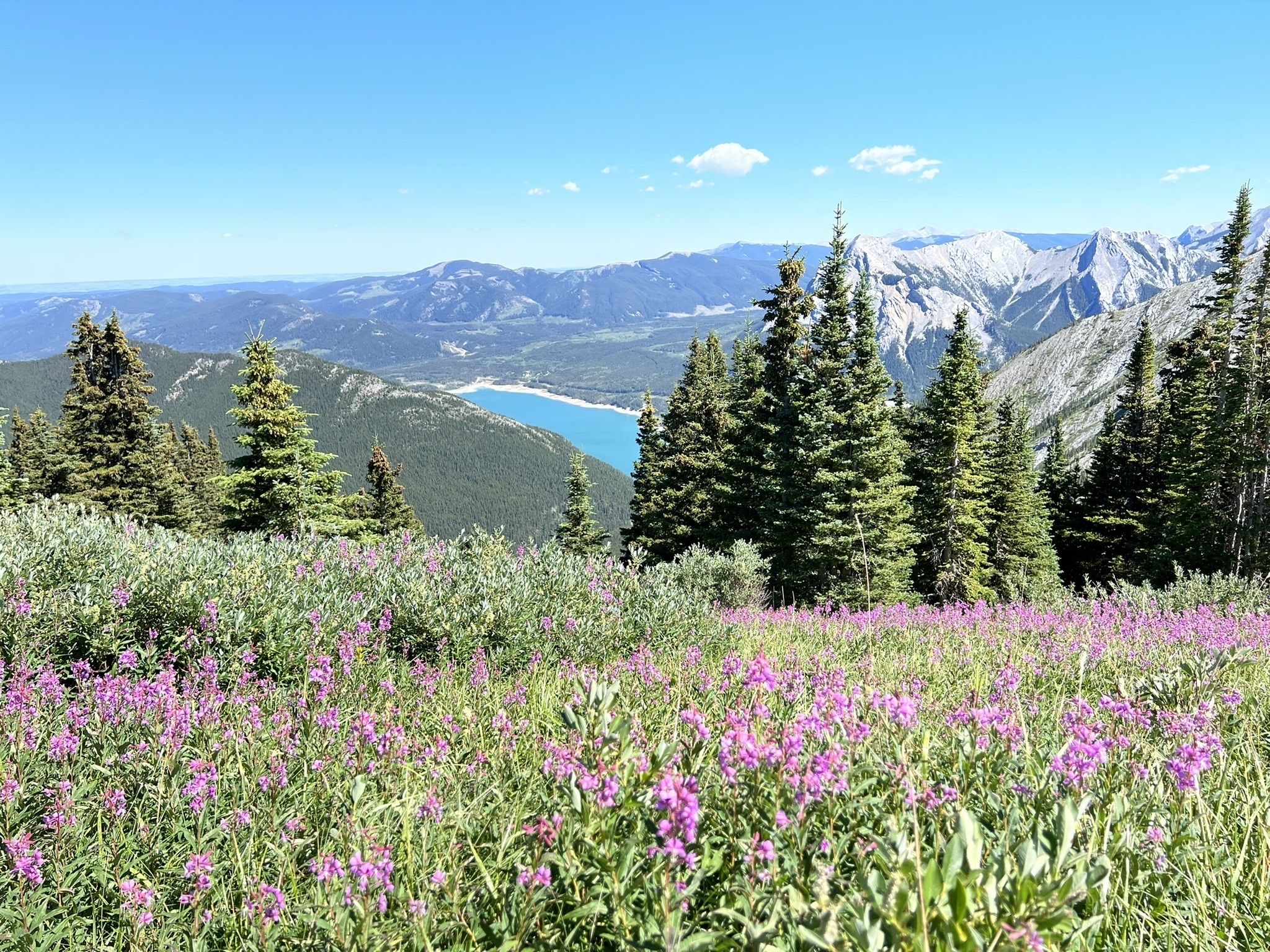 Heart Mountain and Grant MacEwan Scramble