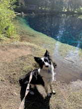 Little Crater Lake to Timothy Lake Campground