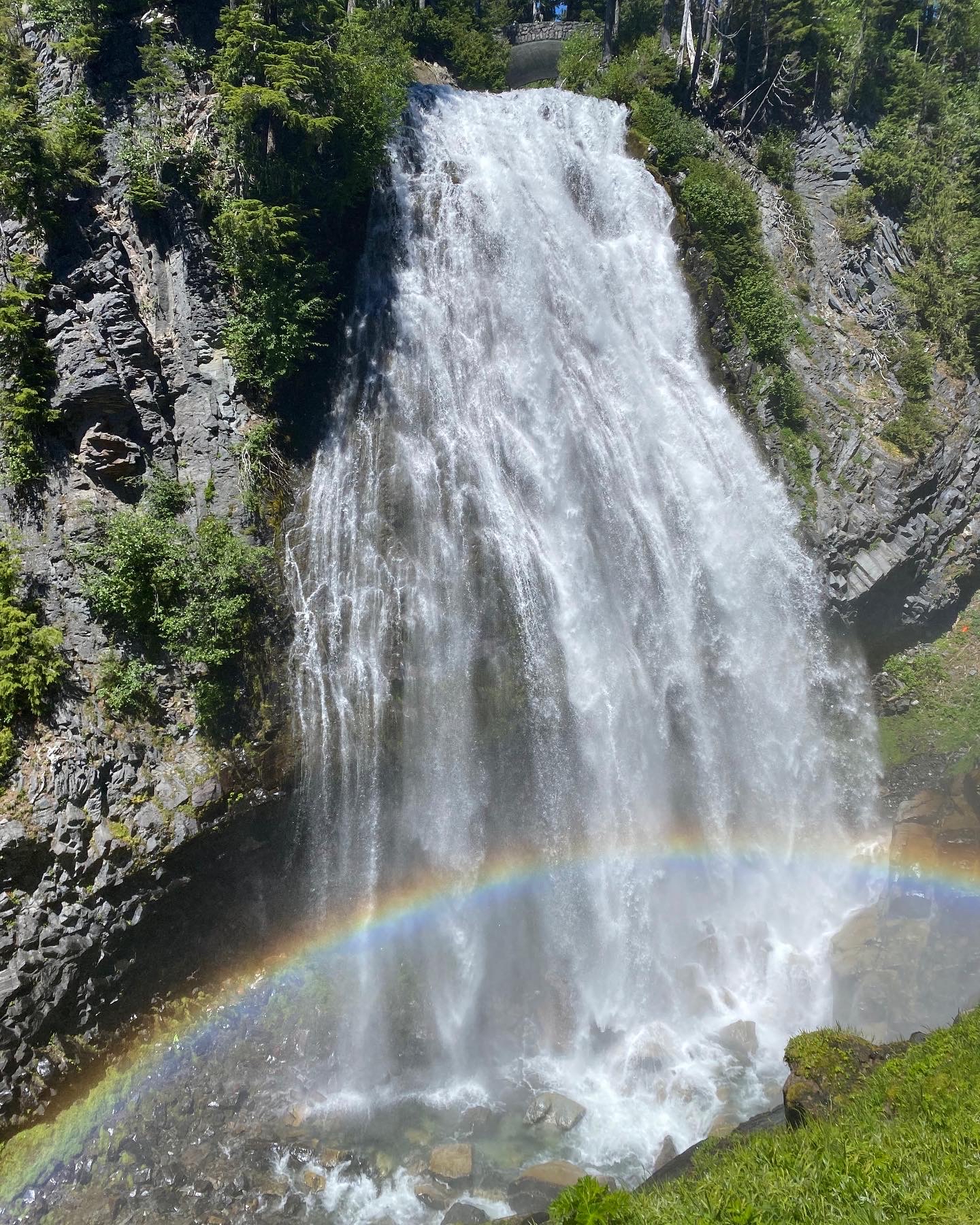 Hike Sunrise Trails at Mount Rainier