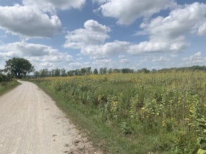 Adams Nature Preserve Loop