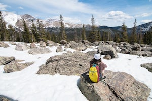 What you need to know to plan a fall trip to Rocky Mountain National Park