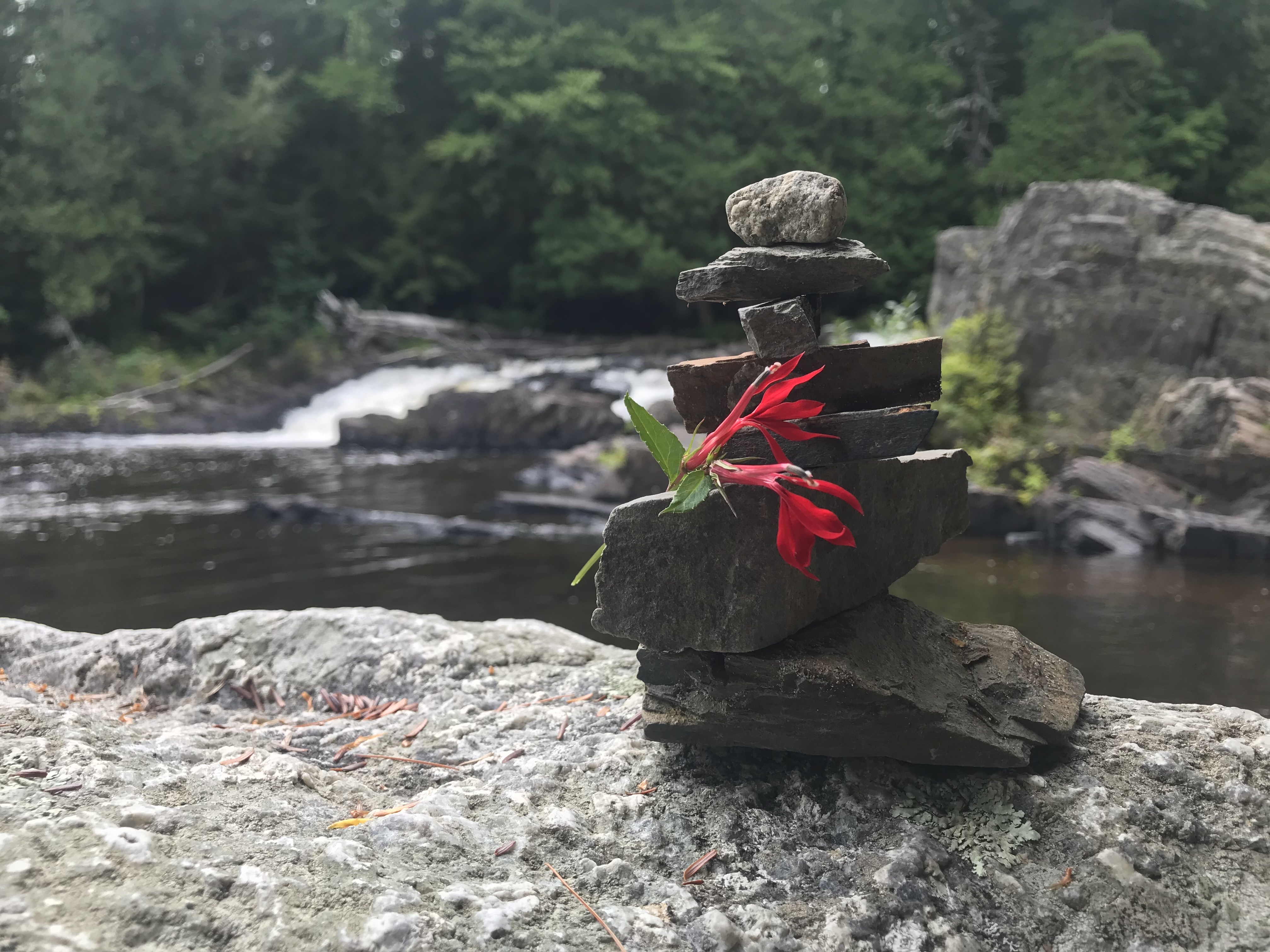 Mariaville Falls
