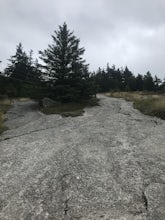 Bald Mountain Loop