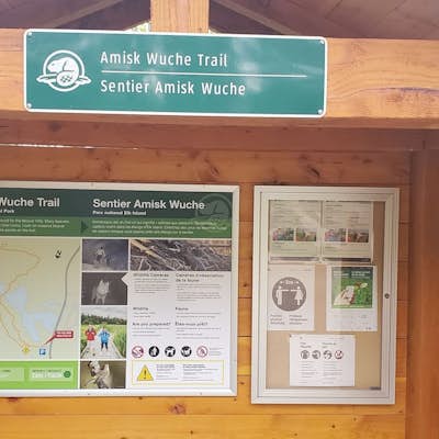 Hike Amisk Wuche Trail, Elk Island National Park