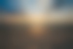 A gull standing in the sand gazes out at a setting sun over the Pacific Ocean. There are some clouds in the sky, but the sun is not obscured.