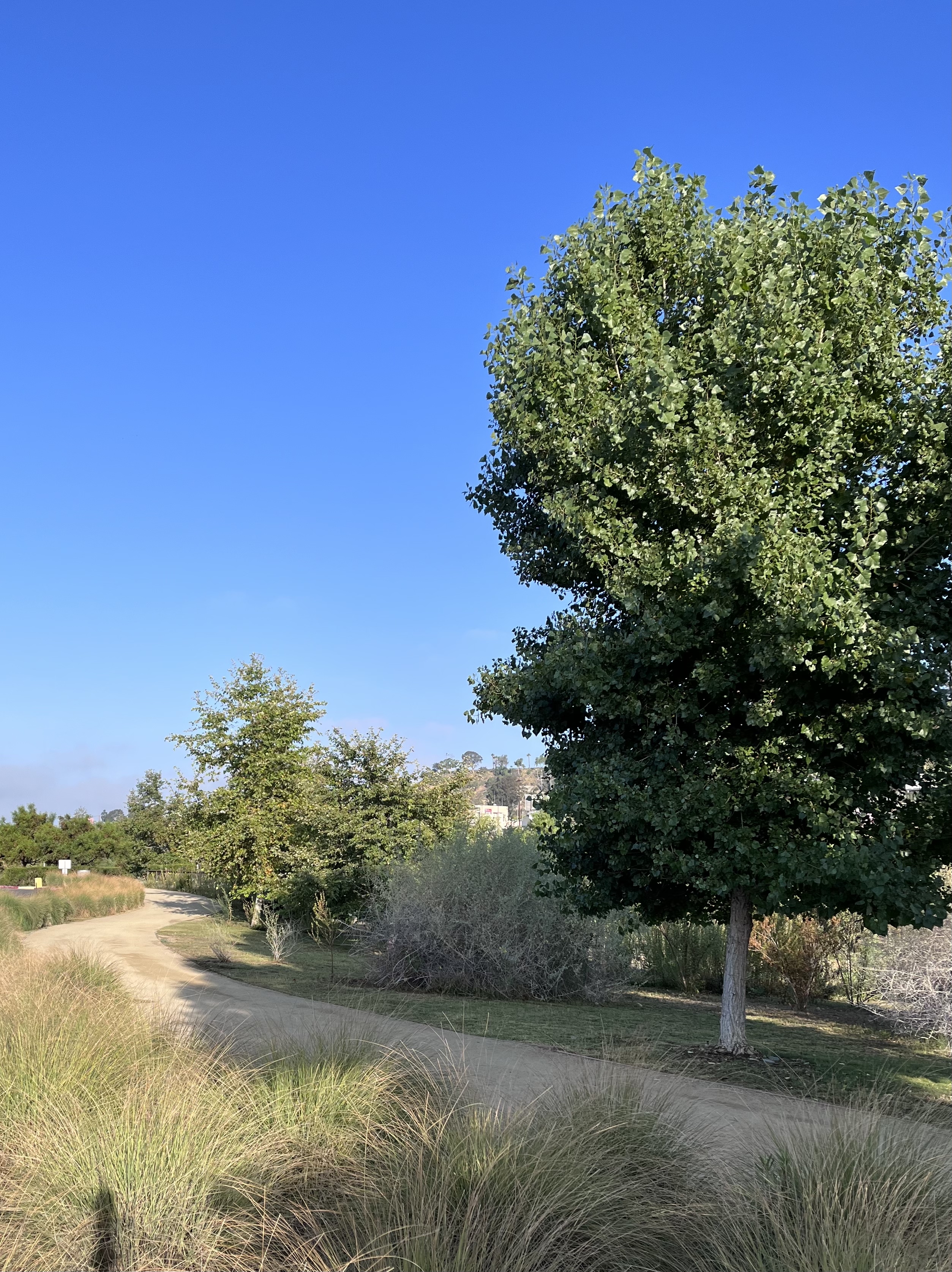 Los Angeles Historic Park