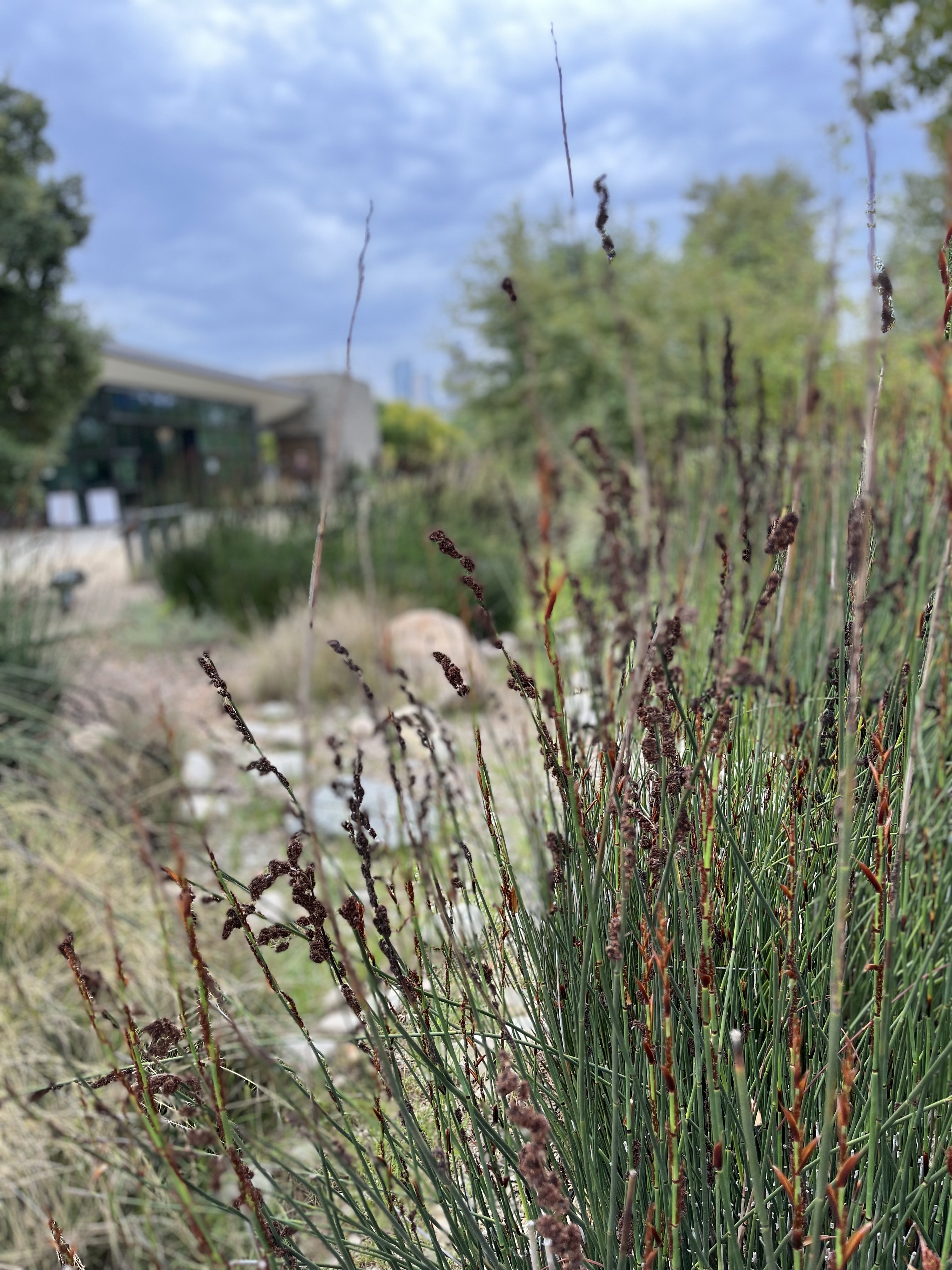 Los Angeles Historic Park