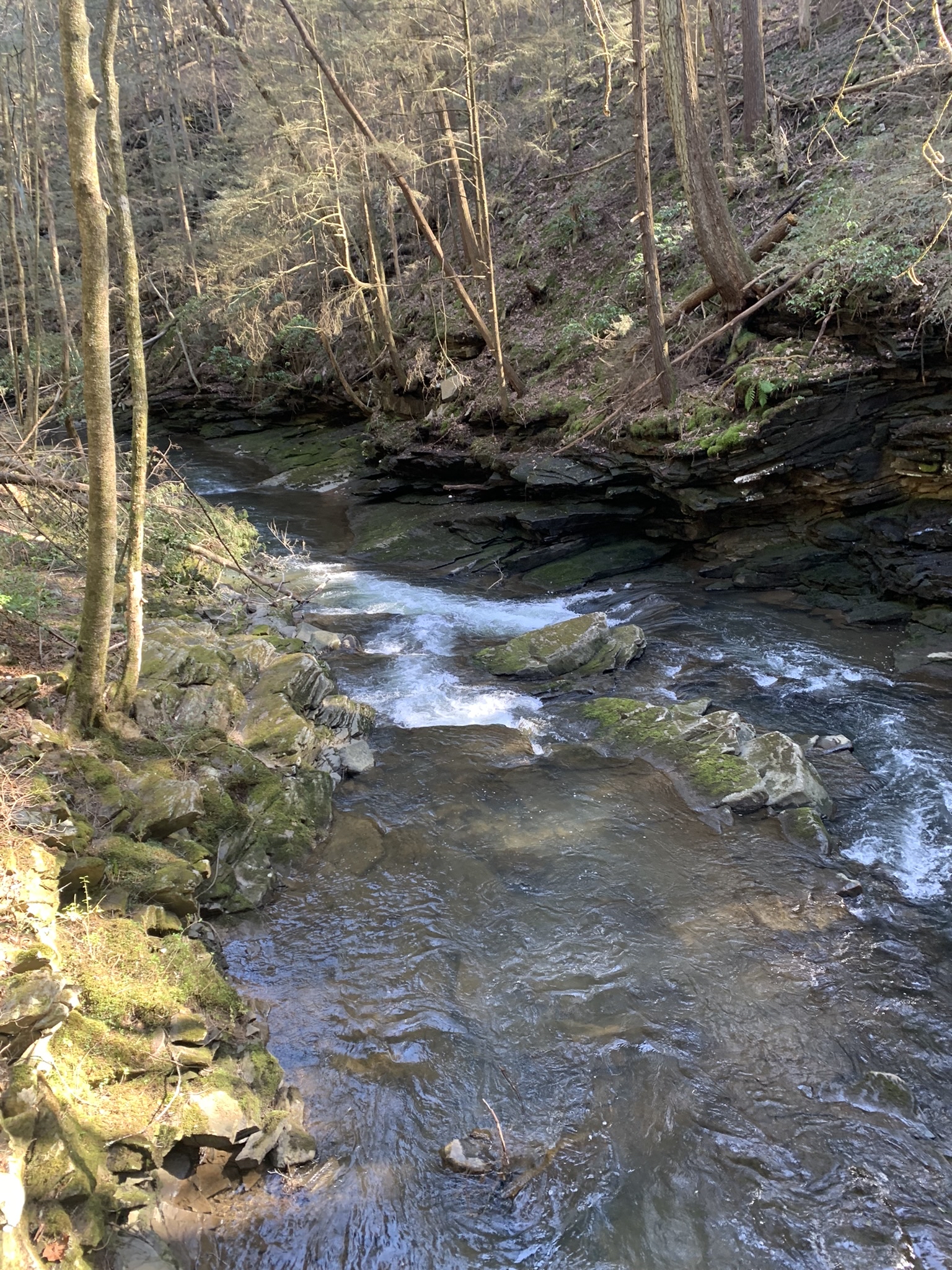 Hike the Fiery Gizzard Trail