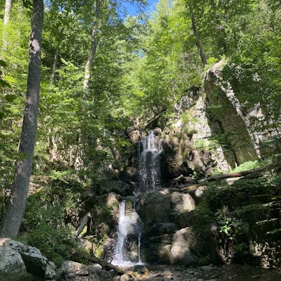 Hike to Doyles Falls 