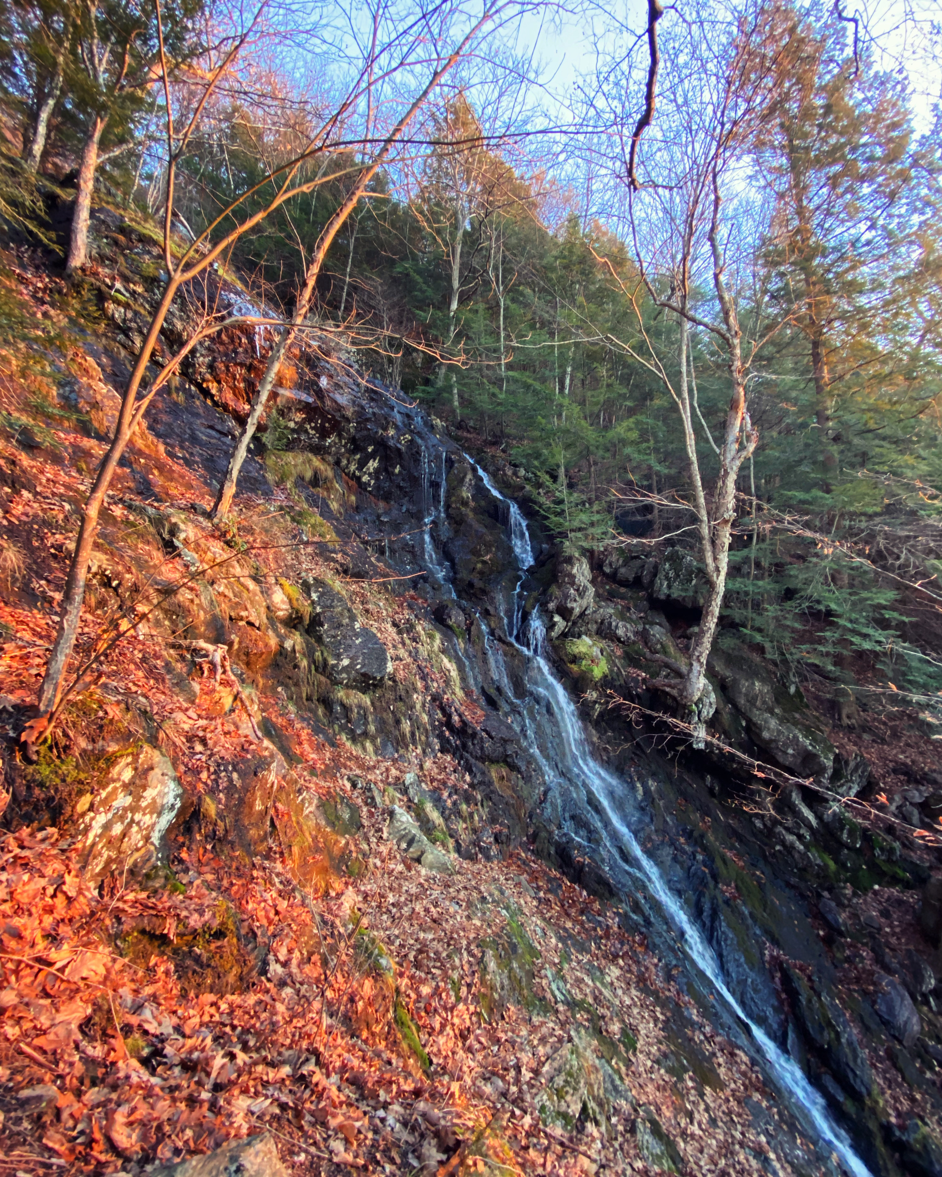 Mount Frissell and Brace Mountain Loop Trail