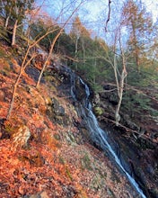 Mount Frissell and Brace Mountain Loop Trail