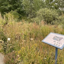 Upper Chalk Creek Trail