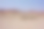 Pastel mountains in the background with sand and sagebrush in foreground.