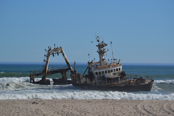 Decaying ship beached on sand with many birds on it
