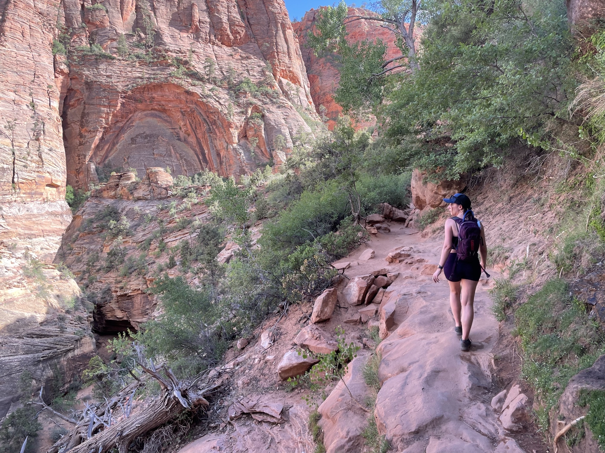 Canyon Overlook Trail