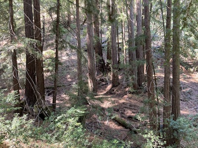 Sonoma Ridge Trail