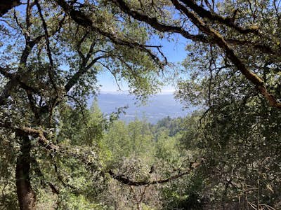 Sonoma Ridge Trail