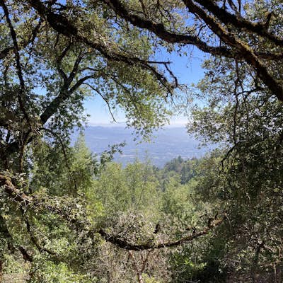 Sonoma Ridge Trail