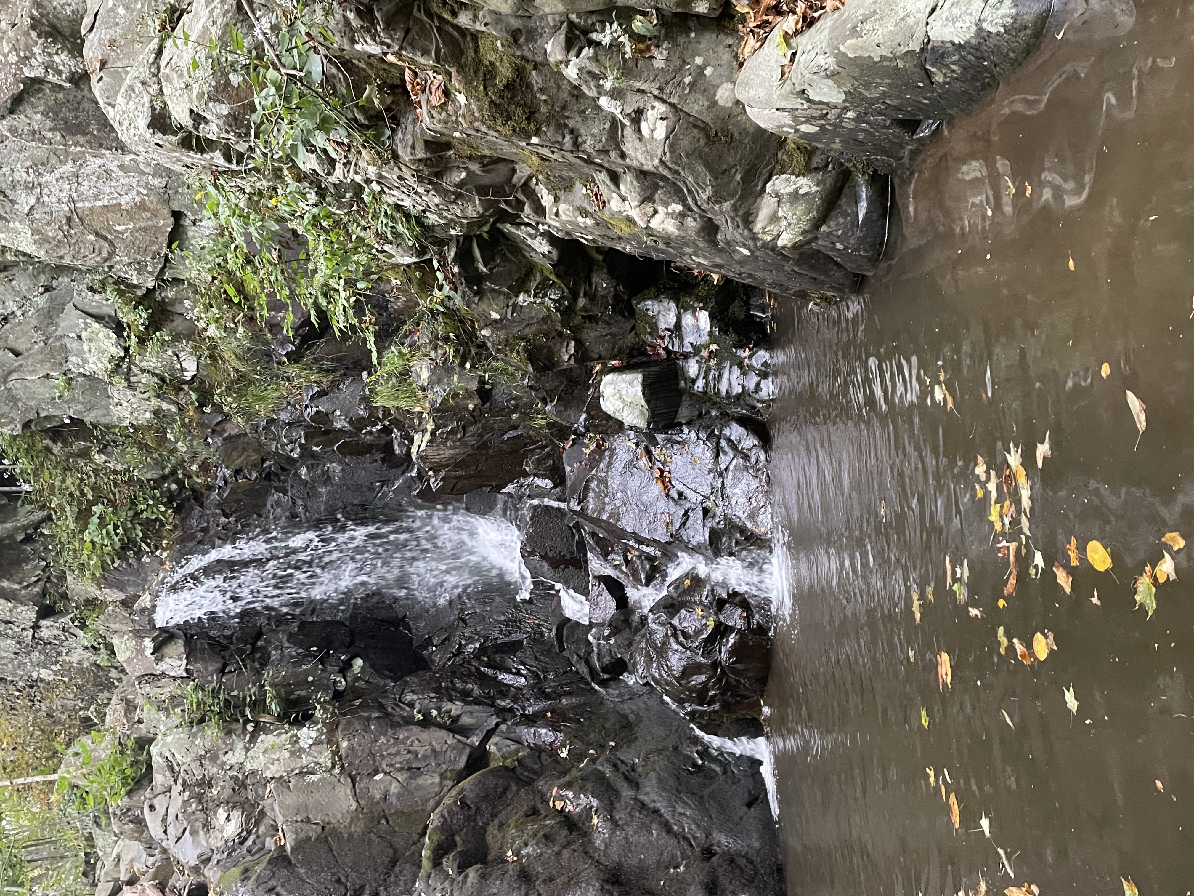 Rose River Falls Loop
