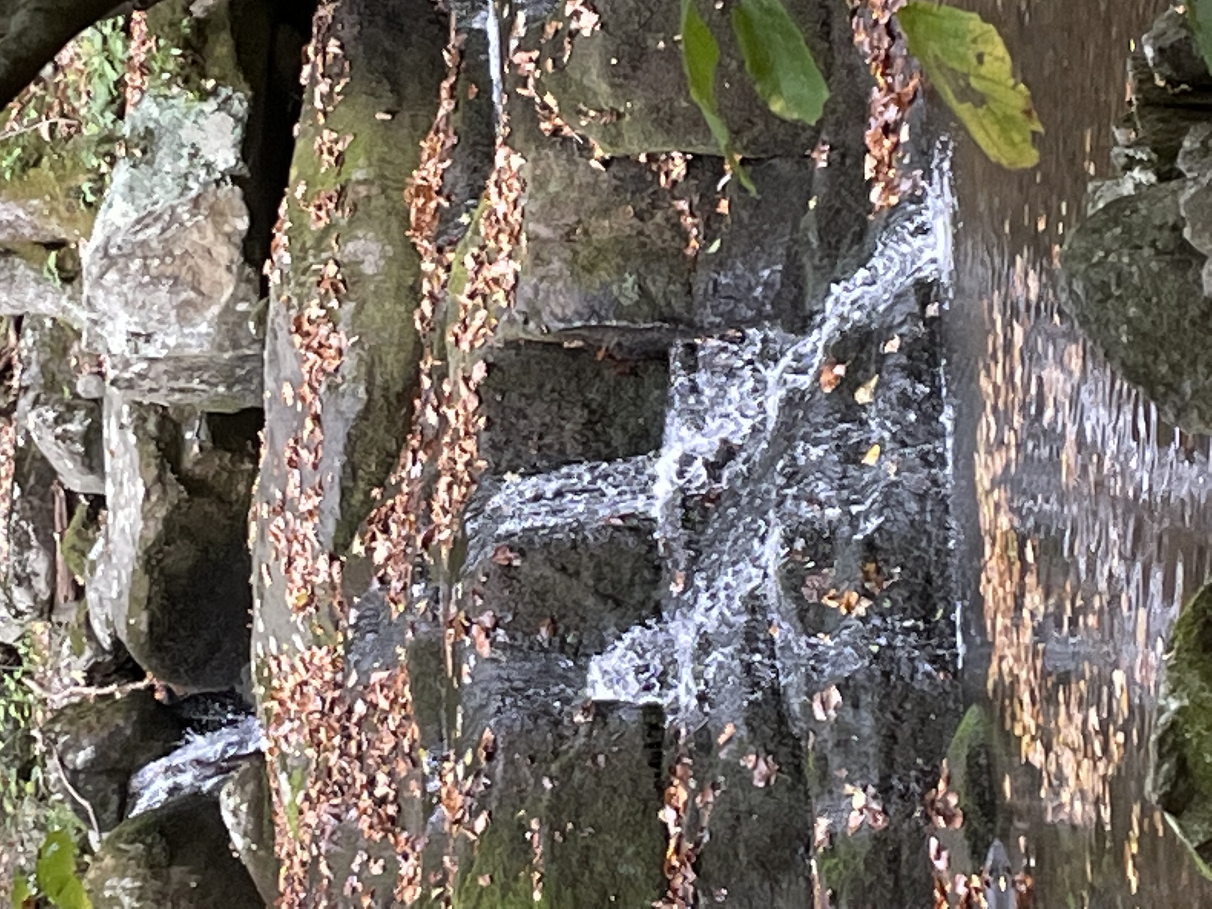 Rose River Falls Loop