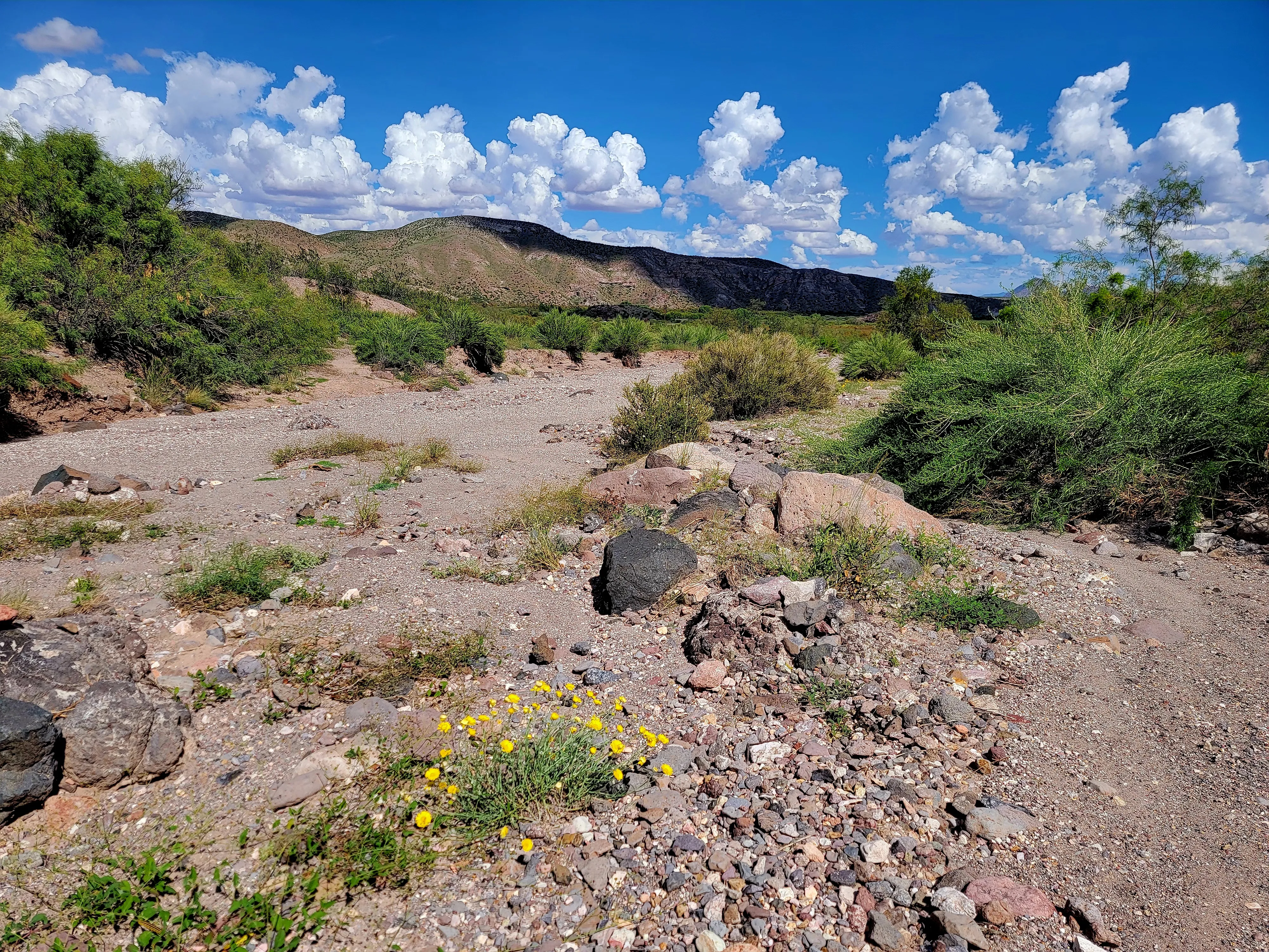 Hike the Leasburg Slot Canyon