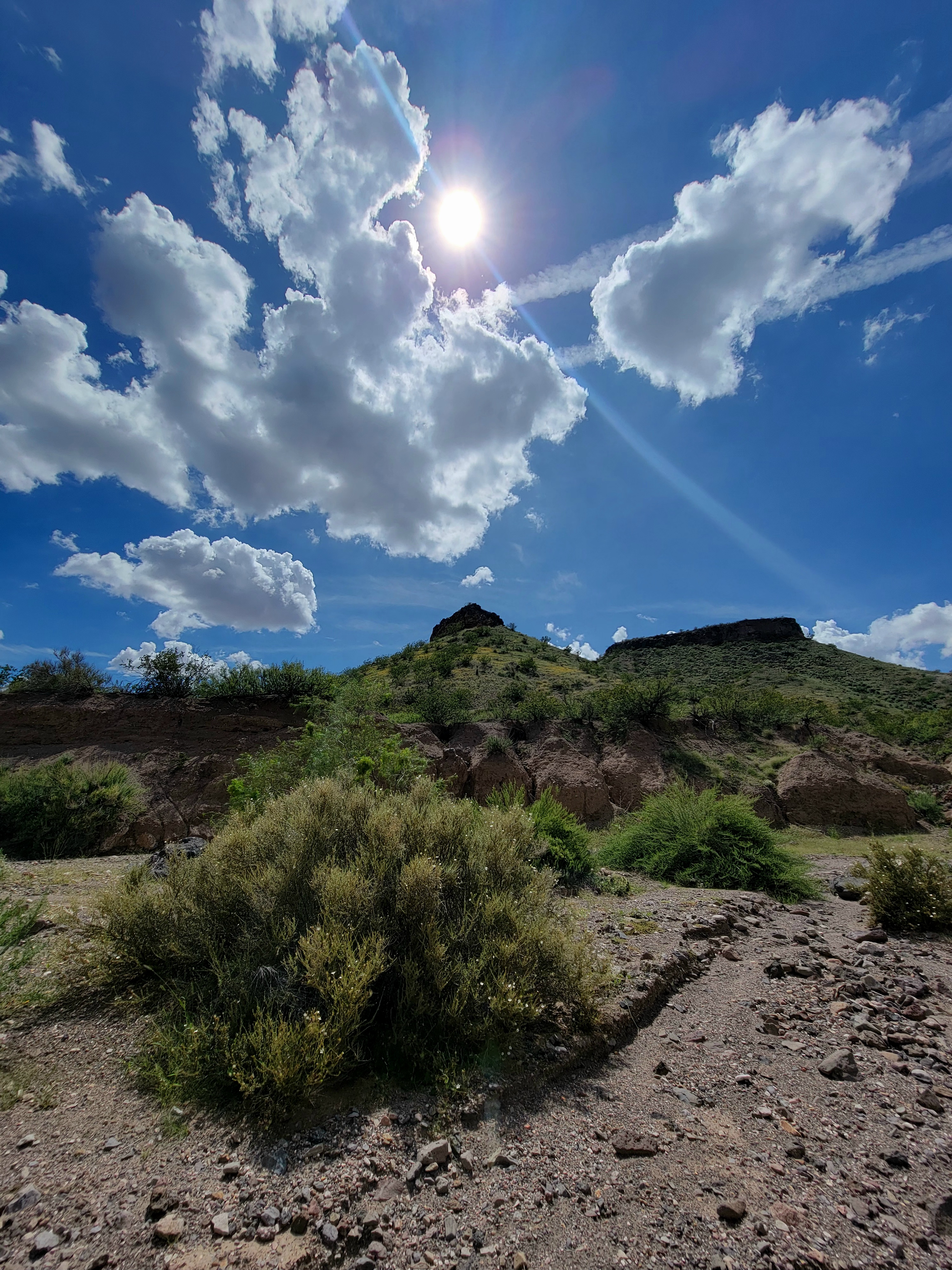 Escape to Leasburg: New Mexico's Hidden Gem
