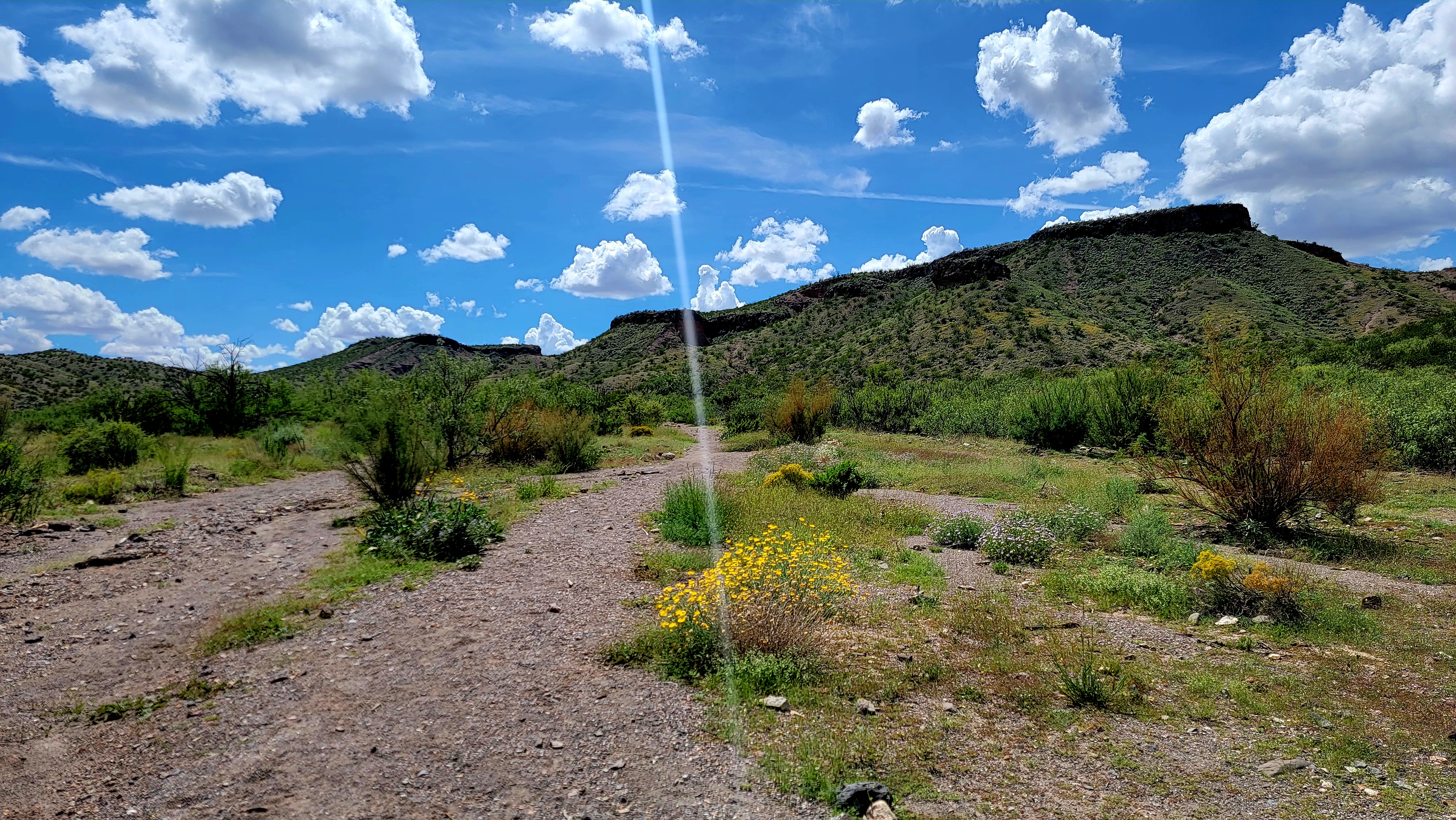 Hike the Leasburg Slot Canyon