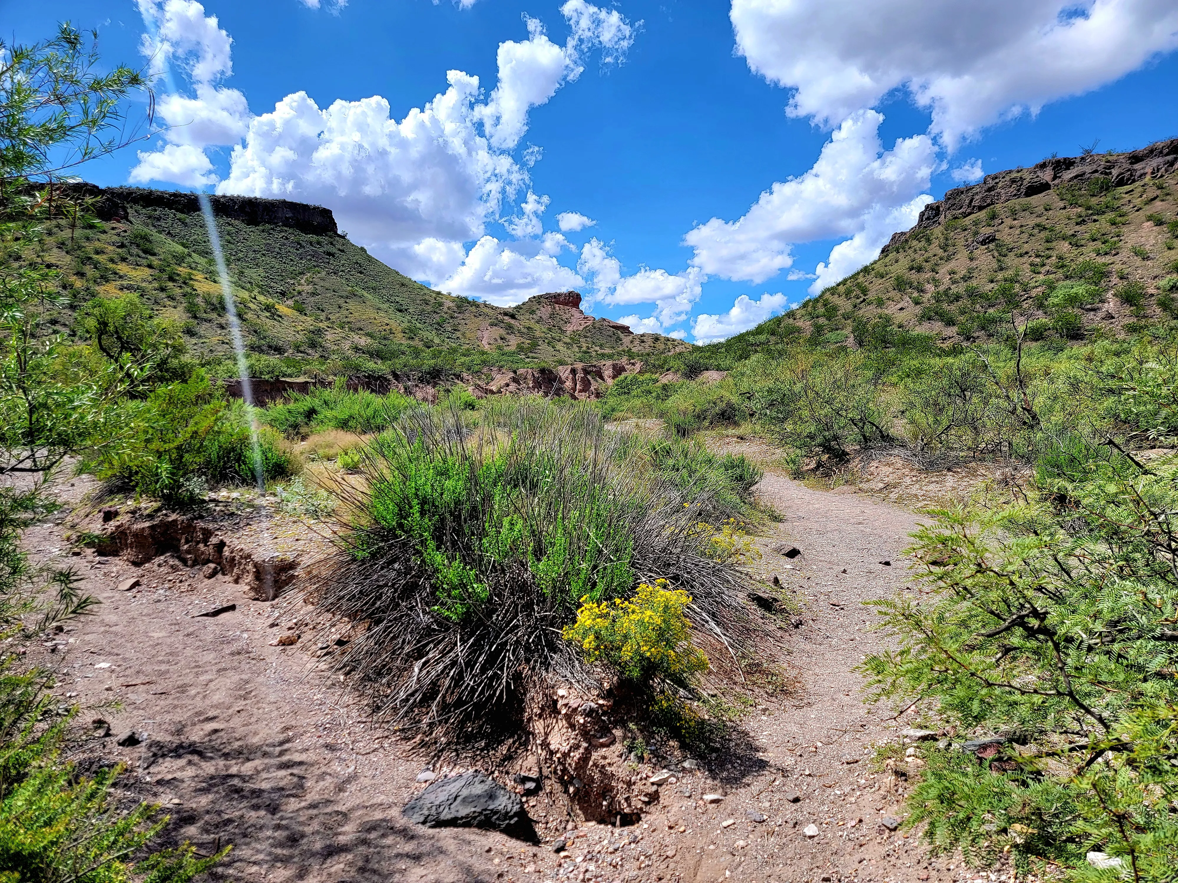 Hike the Leasburg Slot Canyon