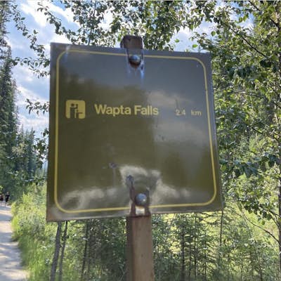 Hike to Wapta Falls, Yoho National Park 