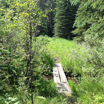 Hike "A Walk in the Past Trail," Yoho NP