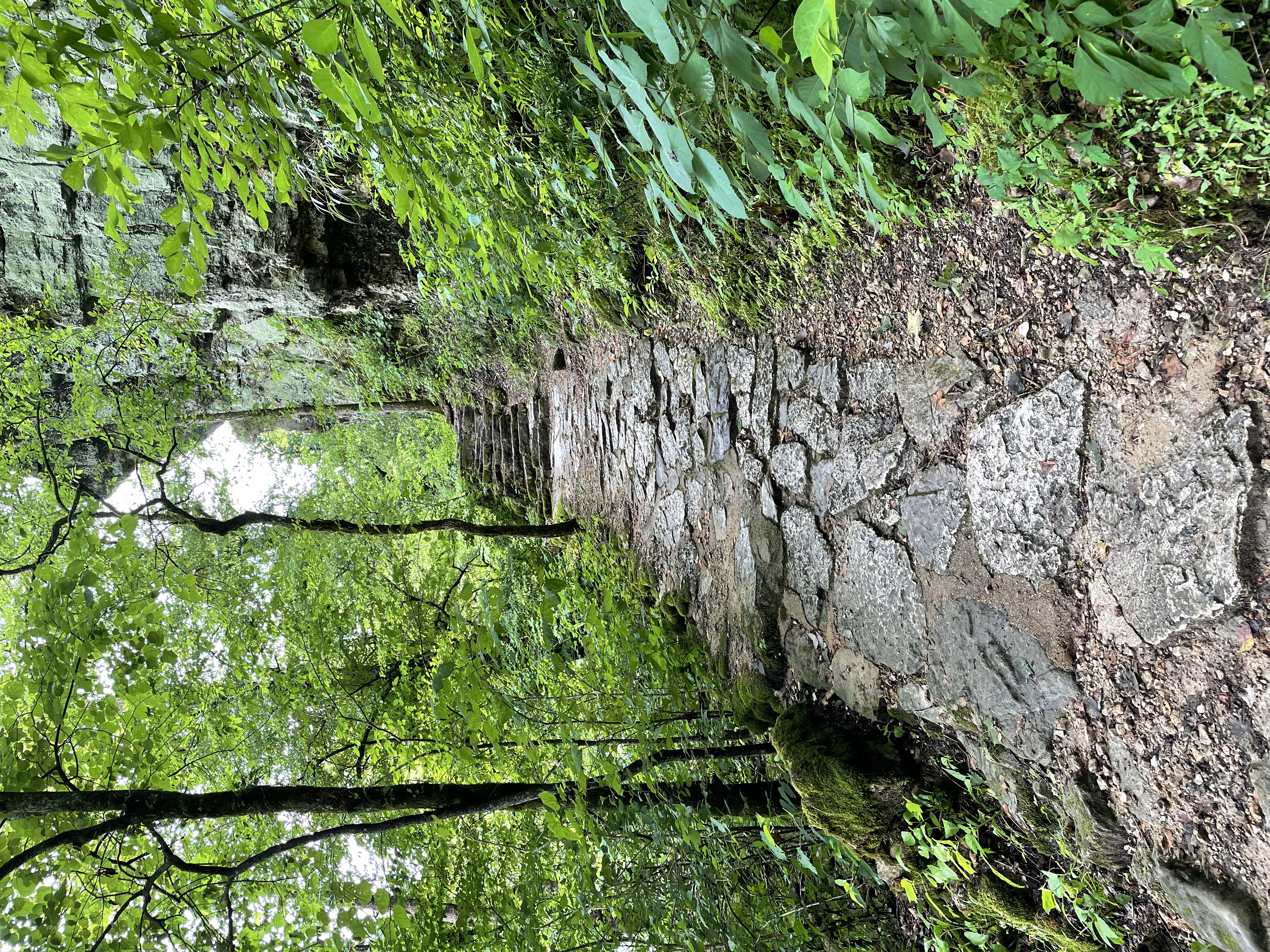 Big Spring