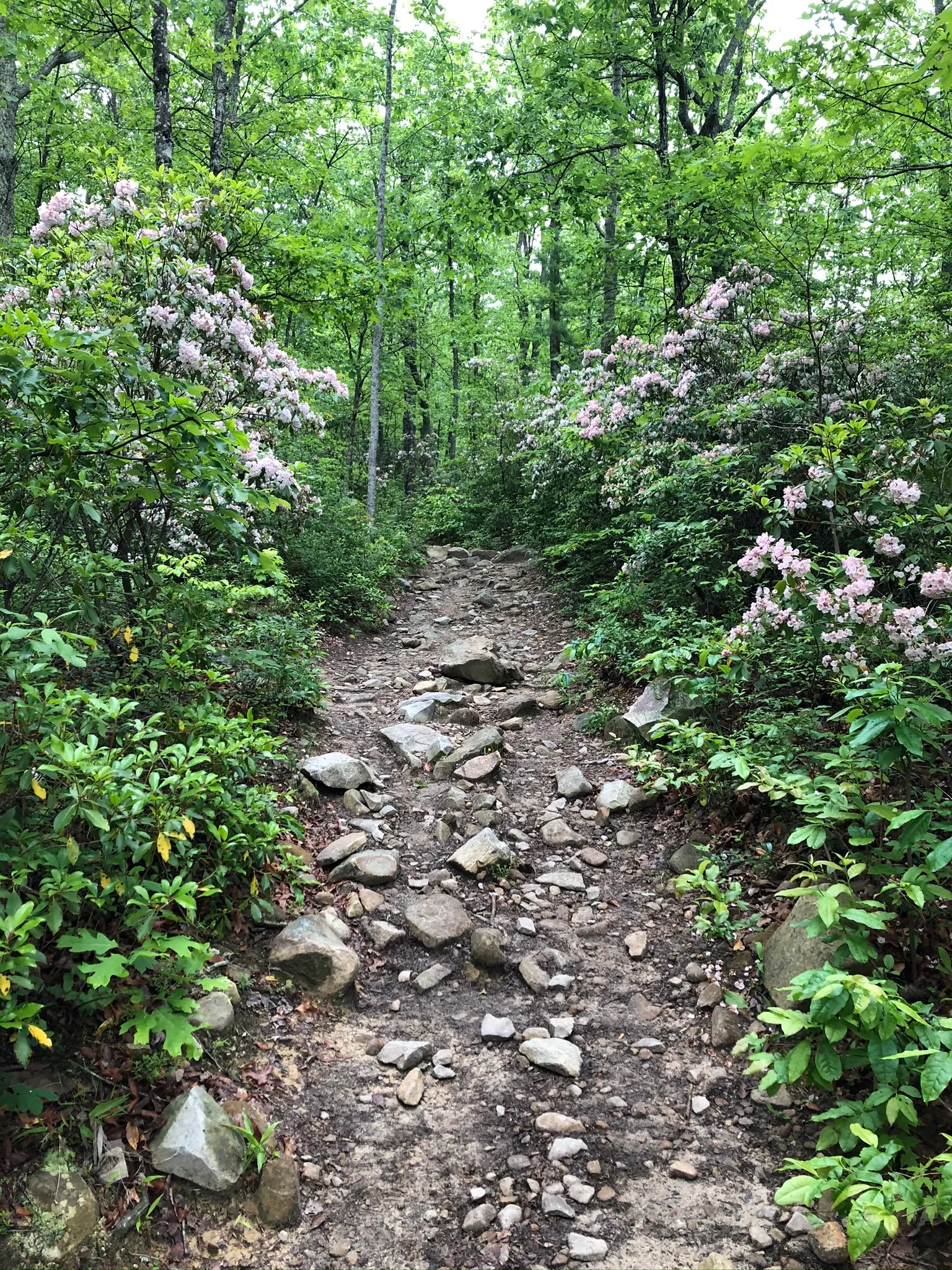 Hike Devil's Marbleyard 