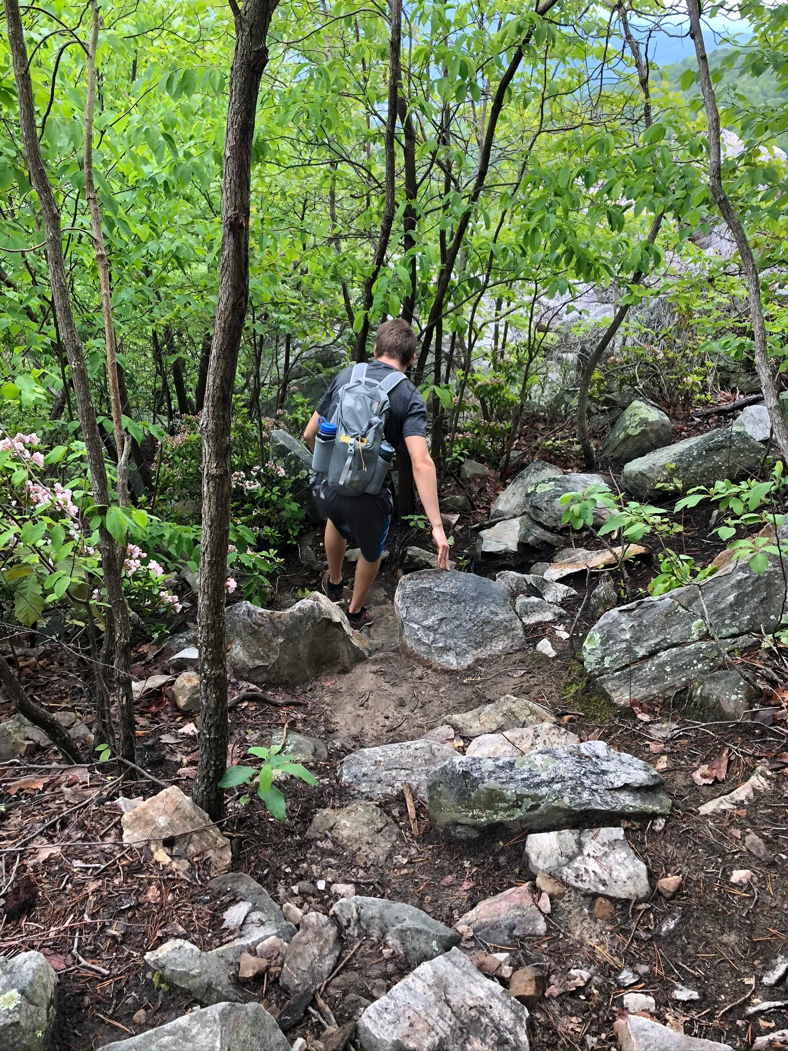 Hike Devil's Marbleyard 