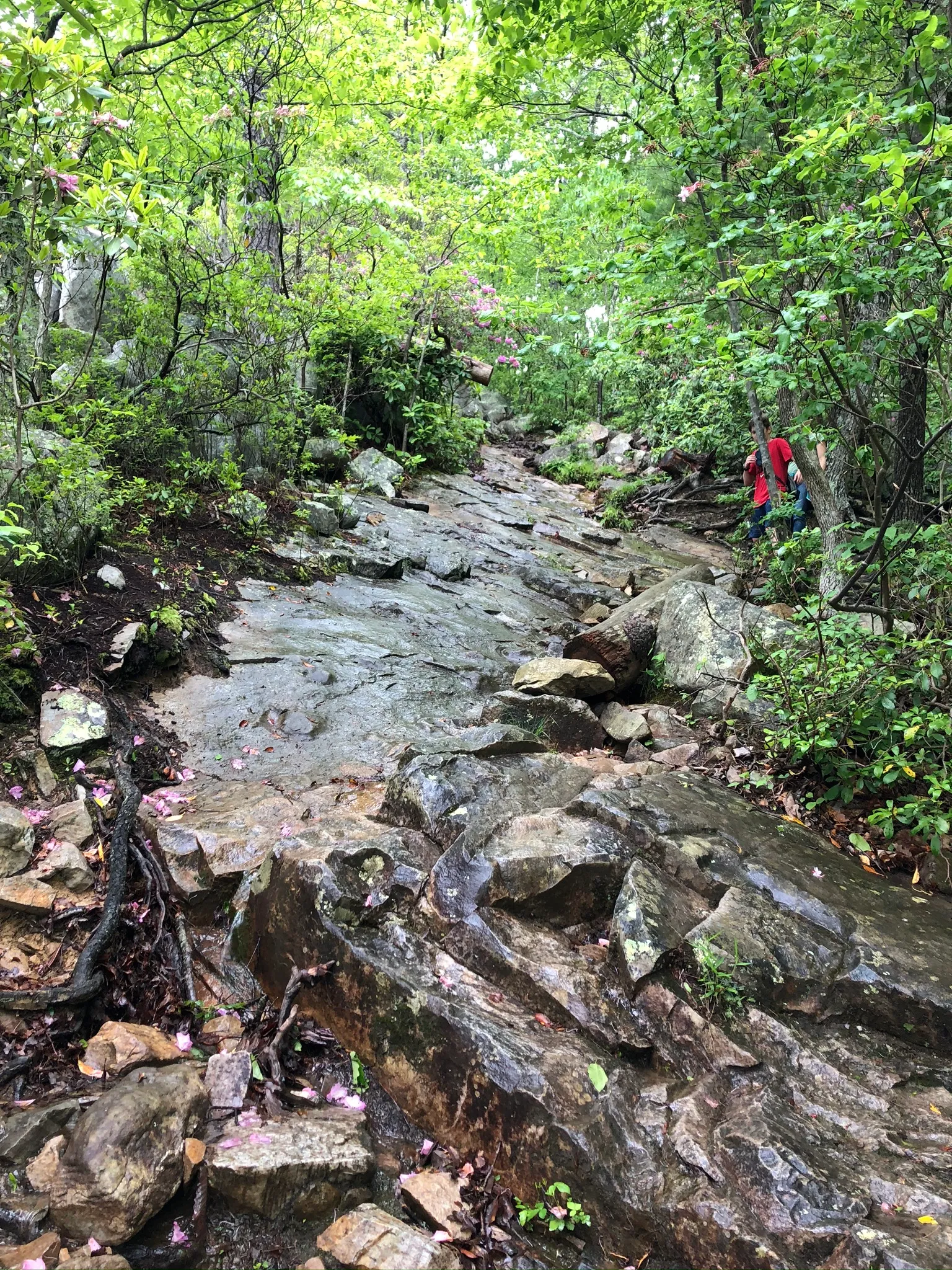 Hike Devil's Marbleyard 