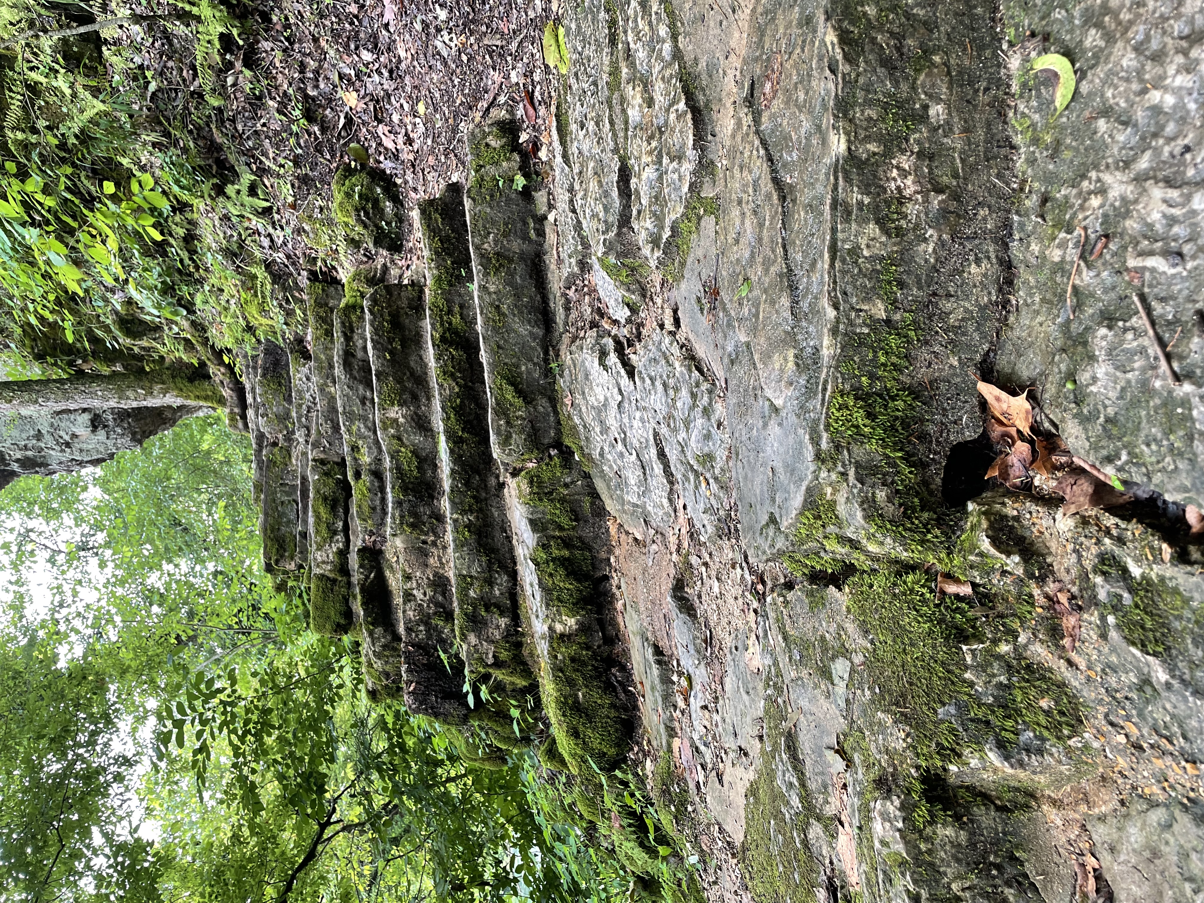 Big Spring