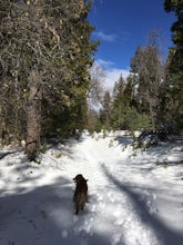 Red Trail Roost and Agua Dulce Trail Loop