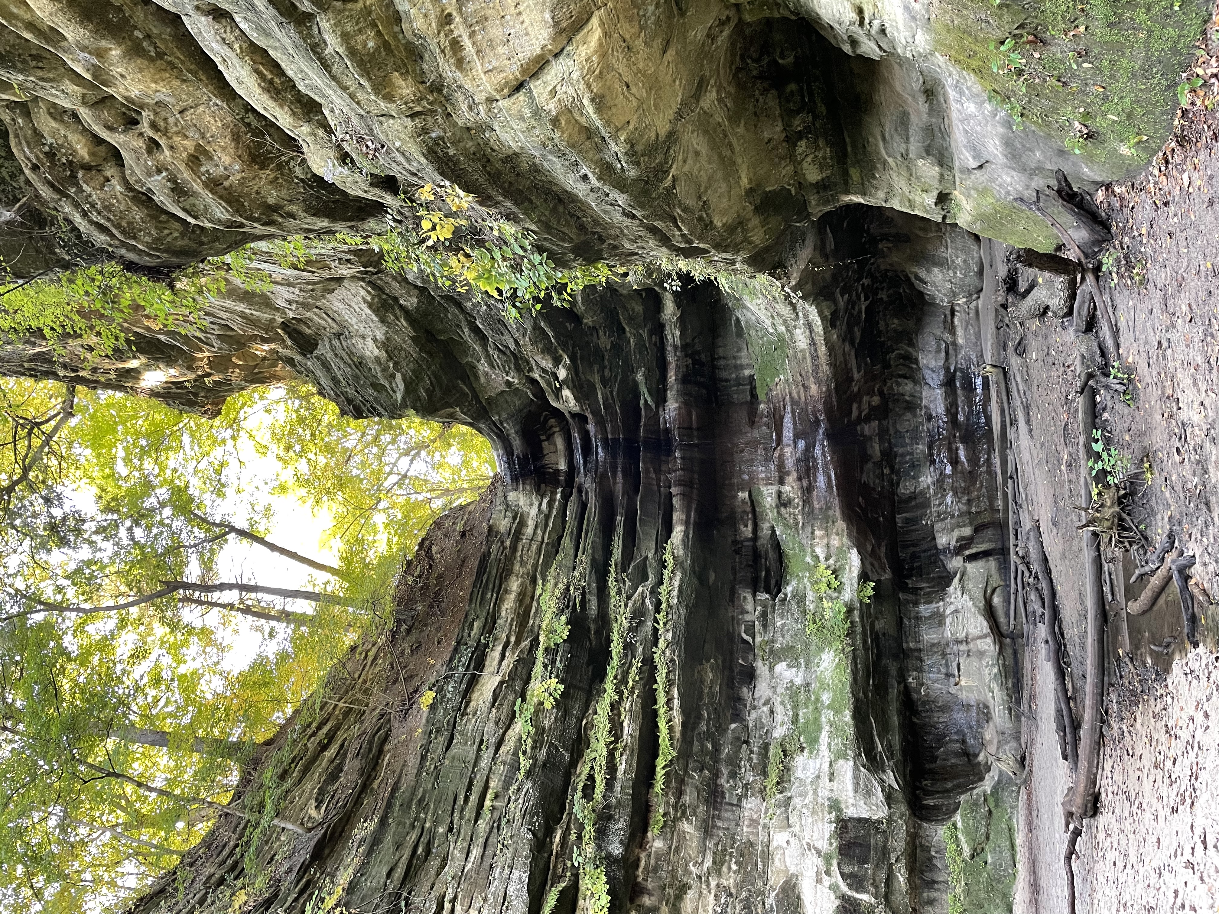 La Salle Canyon 