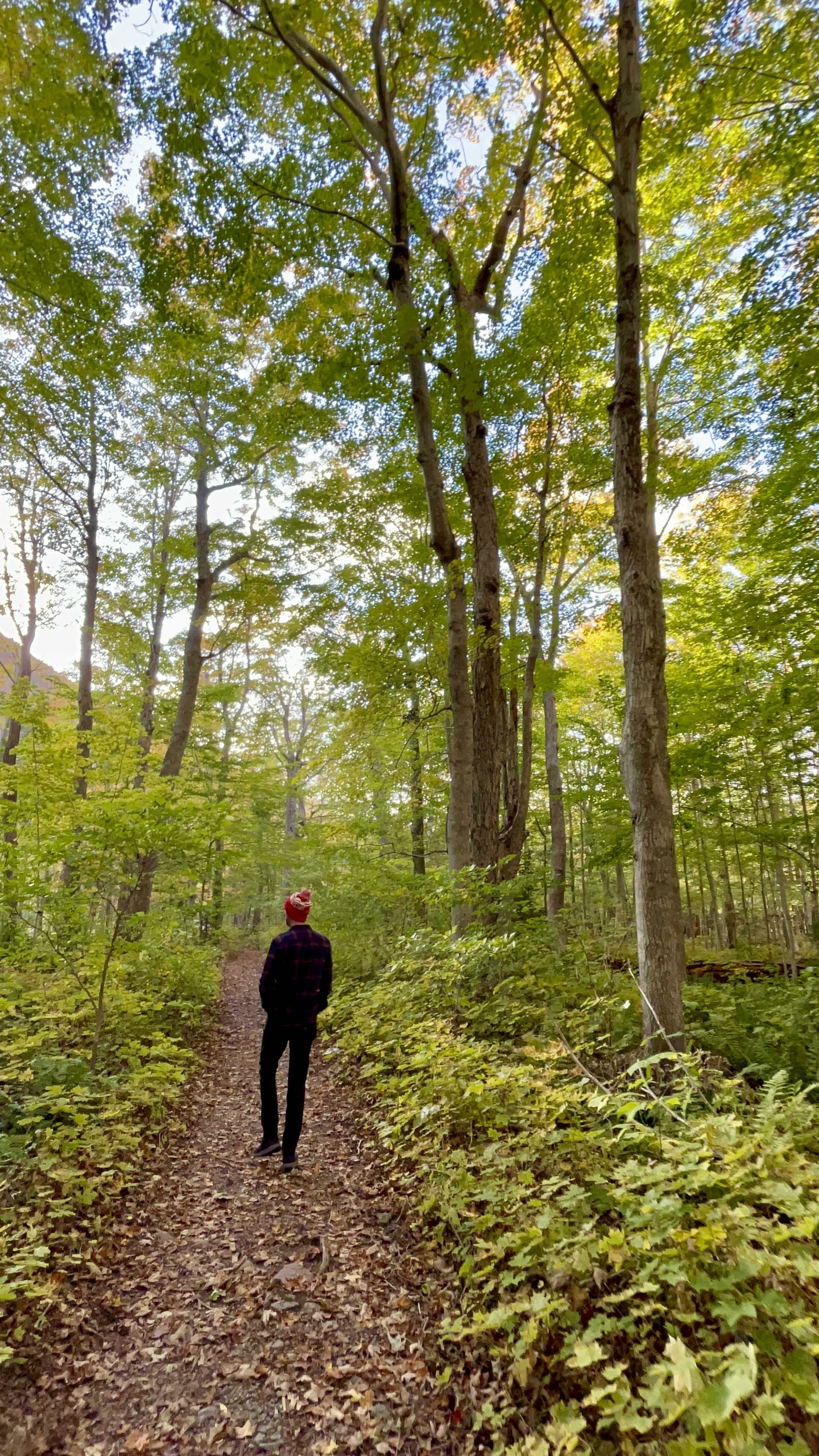 Lone Shieling Trail