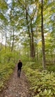 Lone Shieling Trail