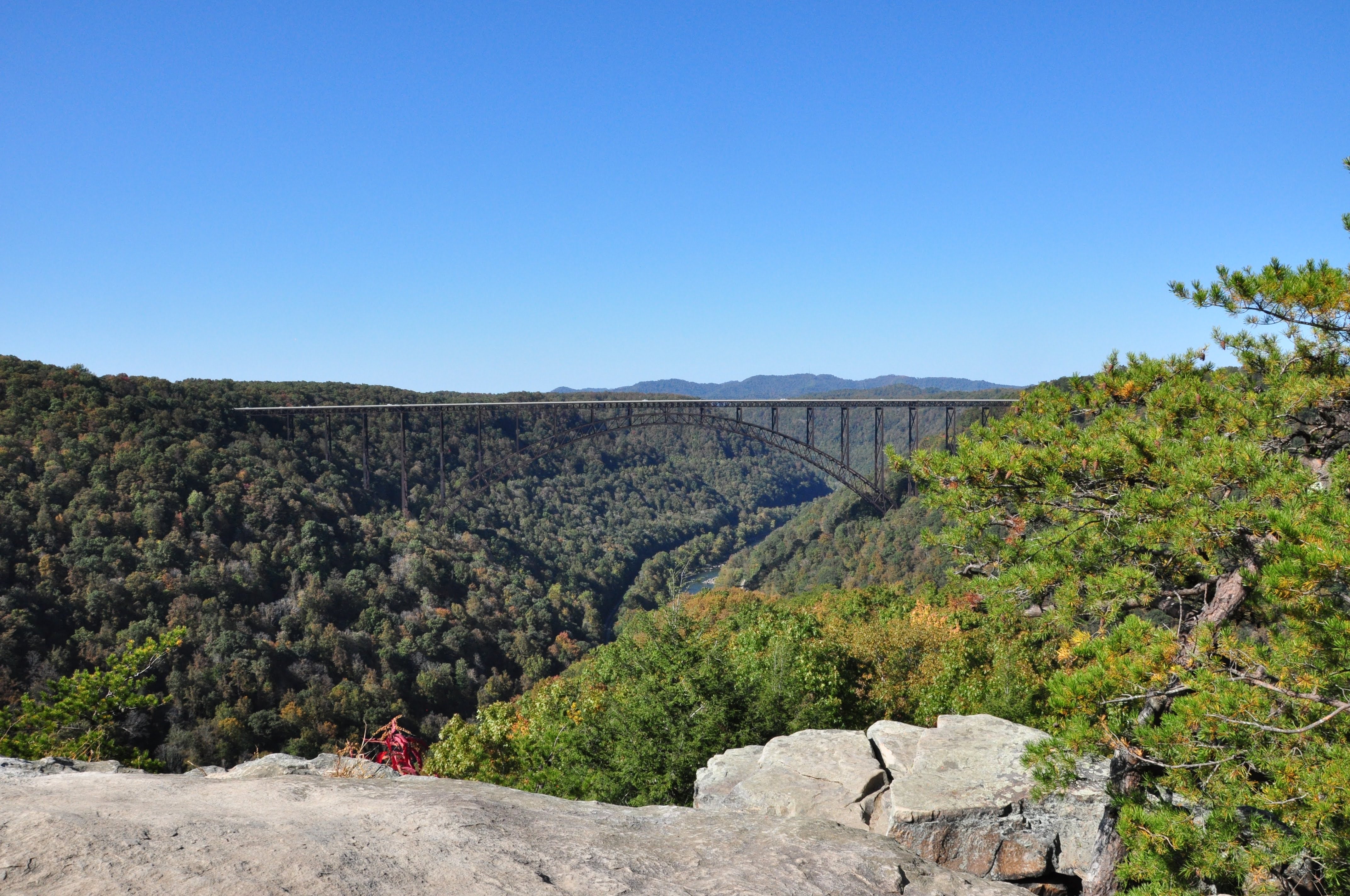 Hike the Long Point Trail