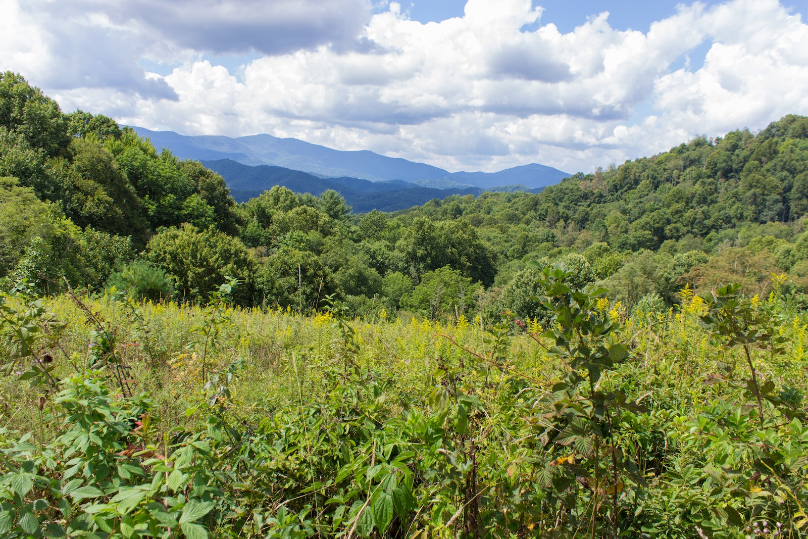 Jones Falls via Appalachian Trail
