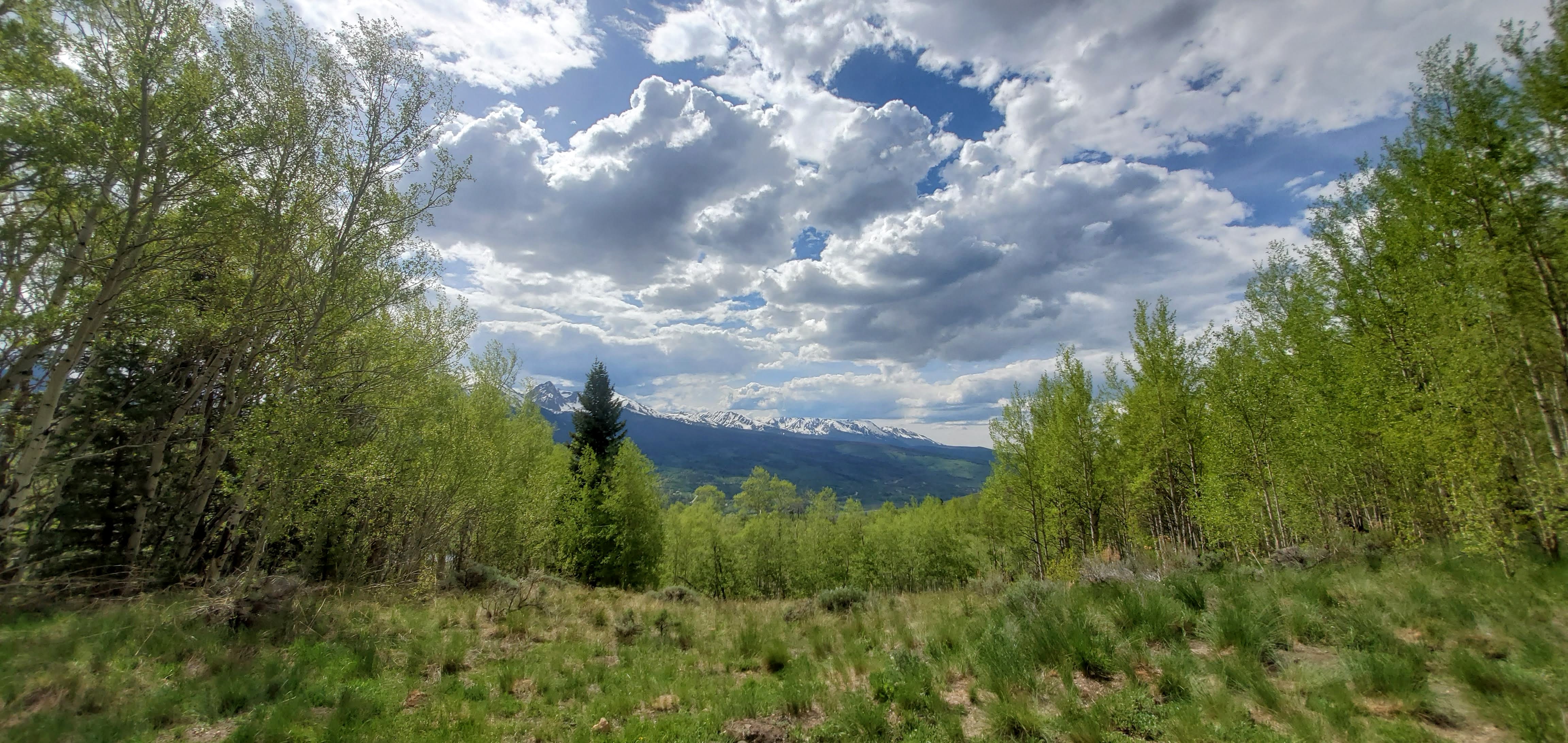 Ptarmigan Trail