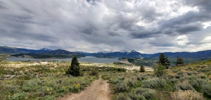 Ptarmigan Trail