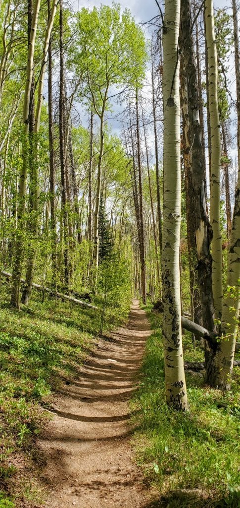 Ptarmigan Trail