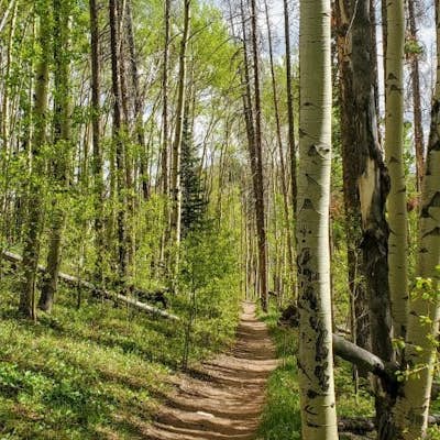 Ptarmigan Trail