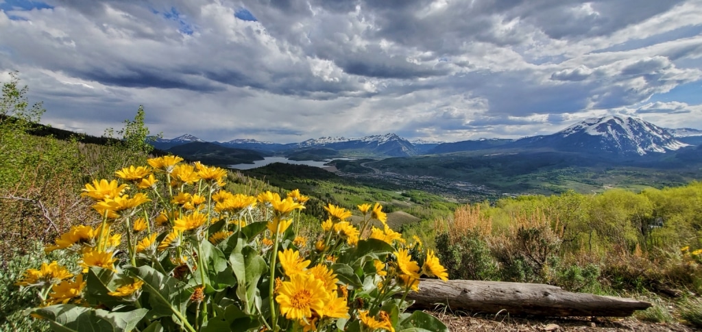 Ptarmigan Trail