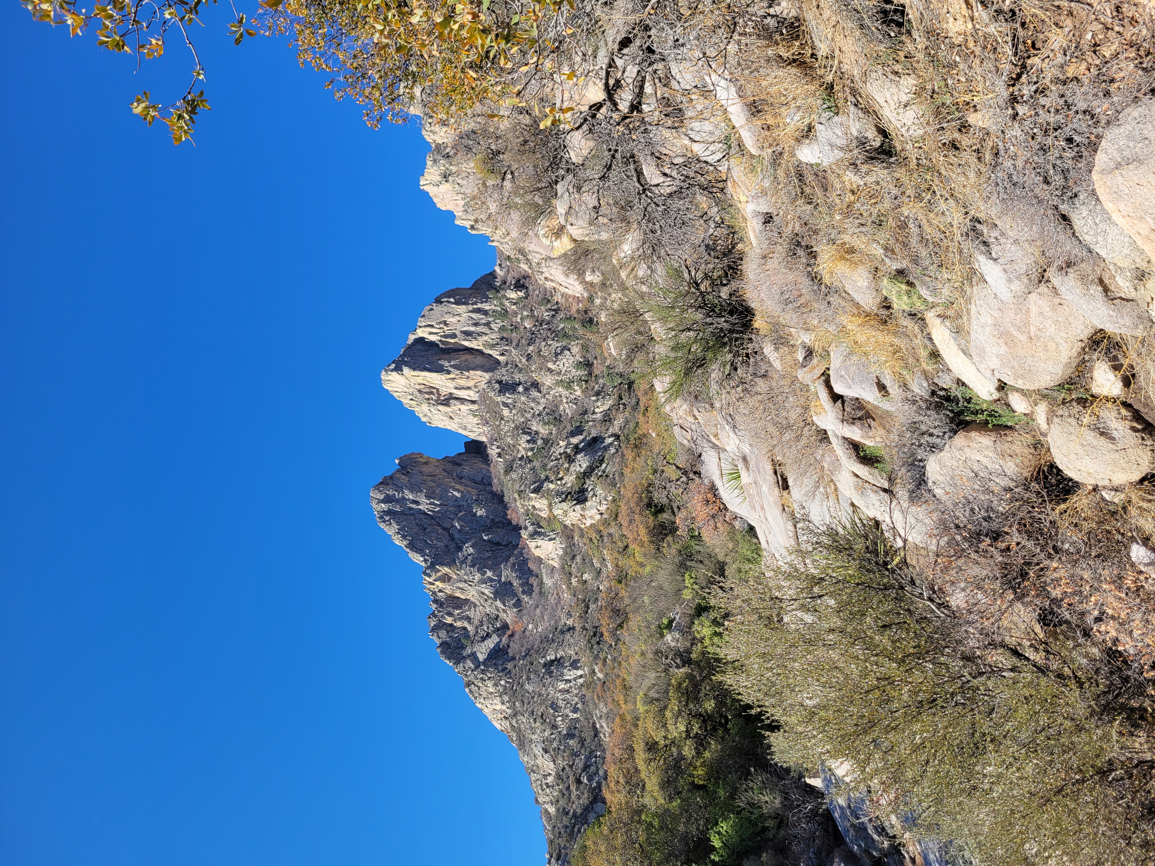 Hike the Rabbit Ear Plateau.