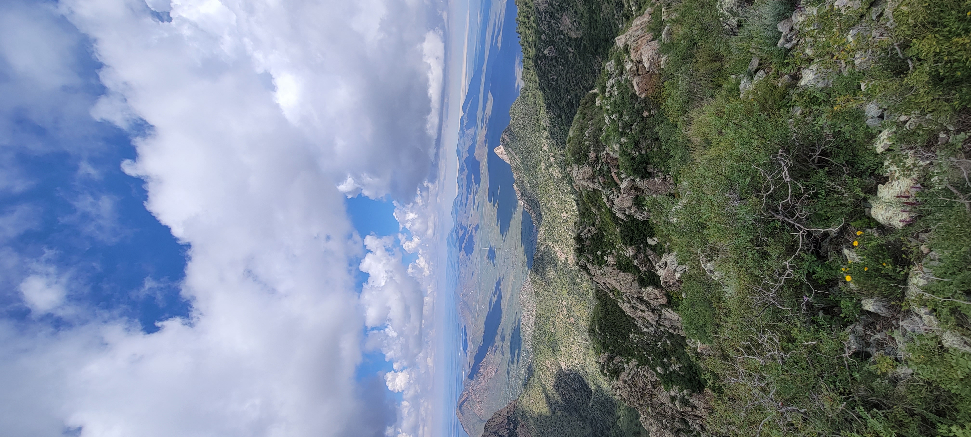 Organ Peak Trail